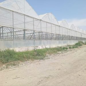 film greenhouse 1